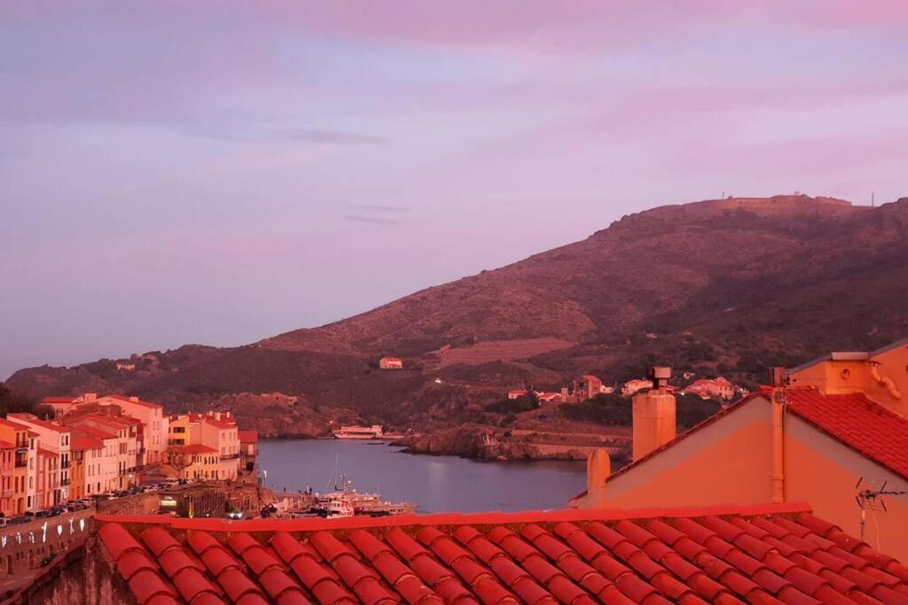 Le Belveze, Emplacement Central Et Calme Port Vendres Εξωτερικό φωτογραφία