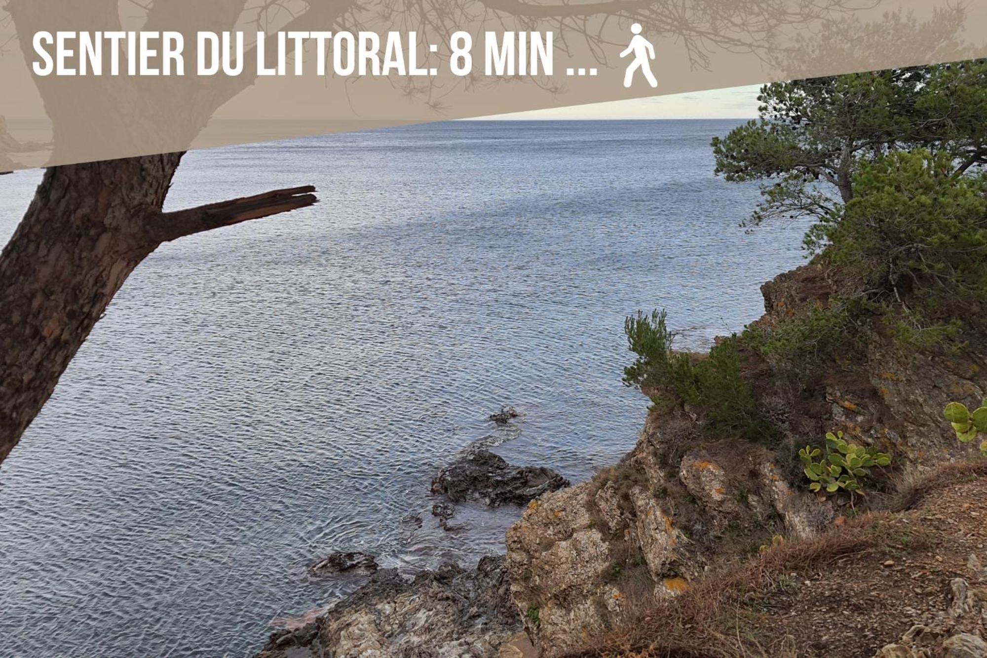 Le Belveze, Emplacement Central Et Calme Port Vendres Εξωτερικό φωτογραφία